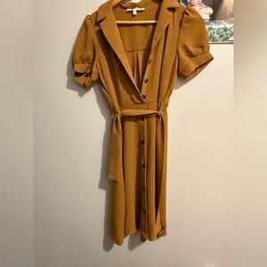 Elegant Brown Button-Down Dress